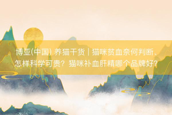 博亚(中国) 养猫干货 | 猫咪贫血奈何判断、怎样科学可贵？猫咪补血肝精哪个品牌好？