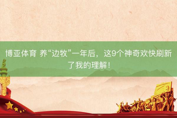 博亚体育 养“边牧”一年后,这9个神奇欢快刷新了我的理解!