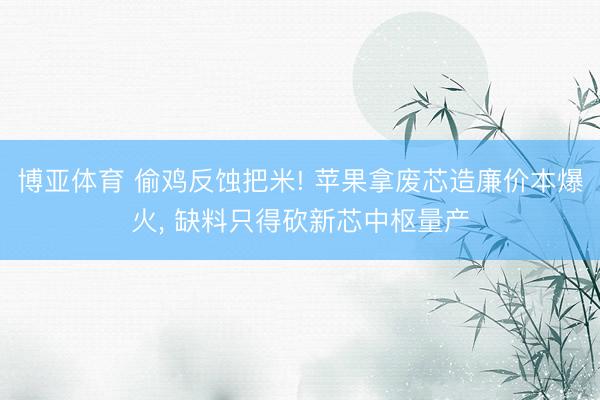 博亚体育 偷鸡反蚀把米! 苹果拿废芯造廉价本爆火， 缺料只得砍新芯中枢量产