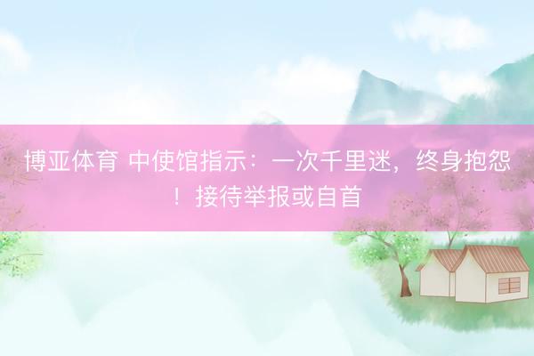 博亚体育 中使馆指示：一次千里迷，终身抱怨！接待举报或自首