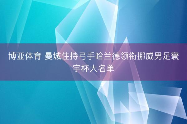博亚体育 曼城住持弓手哈兰德领衔挪威男足寰宇杯大名单