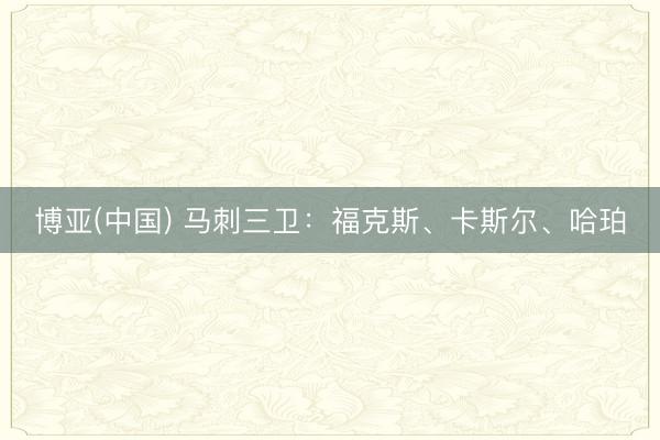 博亚(中国) 马刺三卫：福克斯、卡斯尔、哈珀