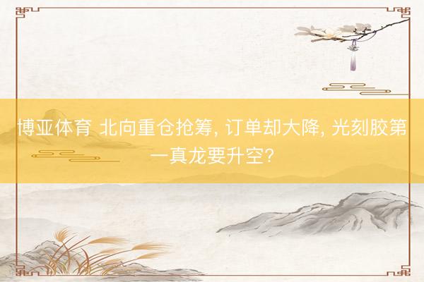 博亚体育 北向重仓抢筹， 订单却大降， 光刻胶第一真龙要升空?
