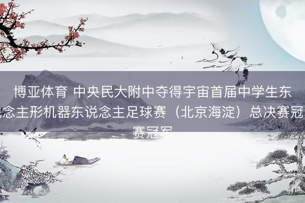 博亚体育 中央民大附中夺得宇宙首届中学生东说念主形机器东说念主足球赛（北京海淀）总决赛冠军