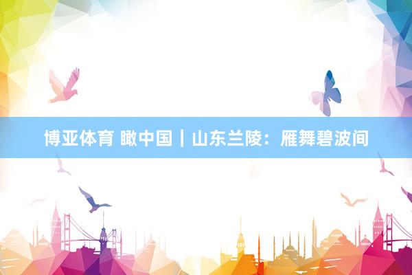 博亚体育 瞰中国｜山东兰陵：雁舞碧波间